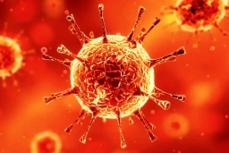 ​Возможные способы заражения коронавирусом! Как передается коронавирус?